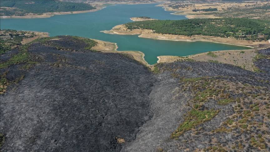 Balıkesir'deki orman yangını kontrol altına alındı 22